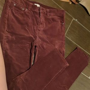 Womens velvet pants